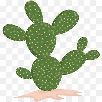 �滭���˲�-������