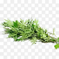 端午节艾草-空若网 端午节艾草-空若网