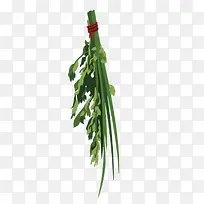 艾草-空若网 艾草-空若网