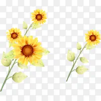 向日葵矢量花纹装饰素材-空若网 向日葵矢量花纹装饰素材-空若网