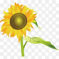 ÏòÈÕ¿ûʸÁ¿ËزÄ-¿ÕÈôÍø ÏòÈÕ¿ûʸÁ¿ËزÄ-¿ÕÈôÍø