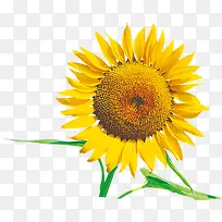 ���տ��ز�-������