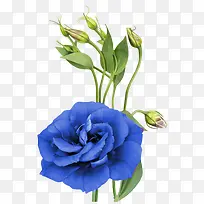 ps�����زĿ�ͨװ���ز�-������