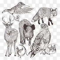 手绘野生动物-空若网 手绘野生动物-空若网