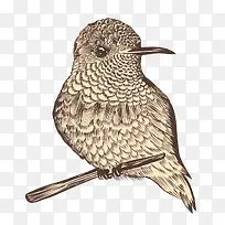 ʸ���ֻ����-������