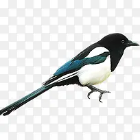 С��-������