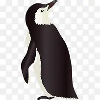 ���ʸ���ز�-������