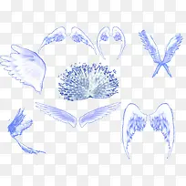 各种白色的翅膀羽翼-空若网 各种白色的翅膀羽翼-空若网