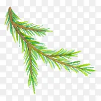 ���̵�����֦-������