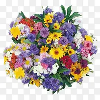 彩色菊花花束-空若网 彩色菊花花束-空若网