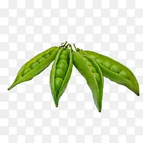 4个豌豆荚-空若网 4个豌豆荚-空若网