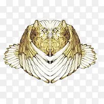 素描猫头鹰-空若网 素描猫头鹰-空若网