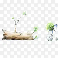 树枝-空若网 树枝-空若网