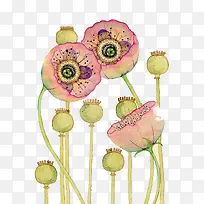 ���������-������