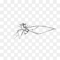 ²£Á§ÆÆËé-¿ÕÈôÍø ²£Á§ÆÆËé-¿ÕÈôÍø