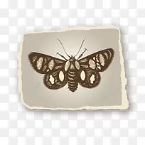 矢量卡通图案怀旧纸张手撕效果-空若网 矢量卡通图案怀旧纸张手撕效果-空若网