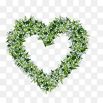 心形的草-空若网 心形的草-空若网