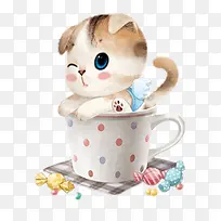 杯子里的小猫咪-空若网 杯子里的小猫咪-空若网