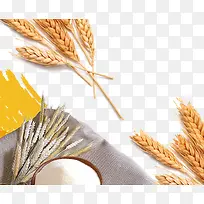 �����Ա���ͼԪ��-������