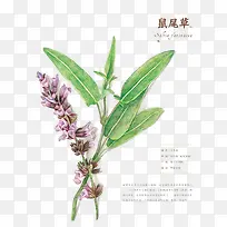 �ֻ滨��-������