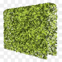 草-空若网 草-空若网