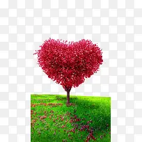 盛开的爱情树-空若网 盛开的爱情树-空若网