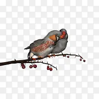 ¶¯Îï-¿ÕÈôÍø ¶¯Îï-¿ÕÈôÍø