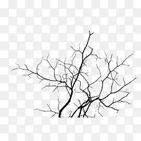 枝干缠绕的树枝-空若网 枝干缠绕的树枝-空若网