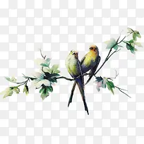 树枝小鸟图案-空若网 树枝小鸟图案-空若网