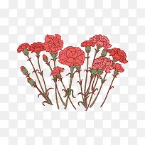 粉色康奶昔花卉下载-空若网 粉色康奶昔花卉下载-空若网