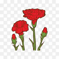 红色康奶昔鲜花下载-空若网 红色康奶昔鲜花下载-空若网