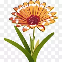 花底封装的附言-甘菊-空若网 花底封装的附言-甘菊-空若网