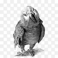 ��������-������