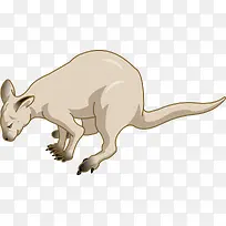 澳大利亚袋鼠-空若网 澳大利亚袋鼠-空若网