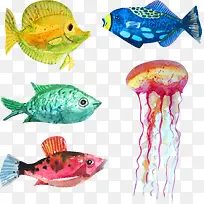 5款水彩绘海洋生物矢量素材-空若网 5款水彩绘海洋生物矢量素材-空若网