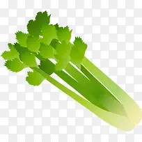 绿色蔬菜芹菜-空若网 绿色蔬菜芹菜-空若网