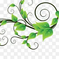 ��֦ ��Ҷ-������