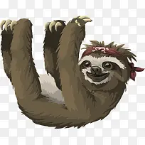 树枝上的树袋熊-空若网 树枝上的树袋熊-空若网