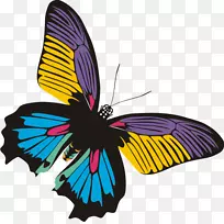 蝴蝶昆虫剪贴画-邦加-空若网 蝴蝶昆虫剪贴画-邦加-空若网