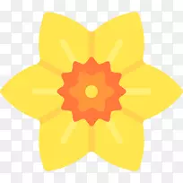 悉尼新西兰中暑王风险区-水仙花-空若网 悉尼新西兰中暑王风险区-水仙花-空若网