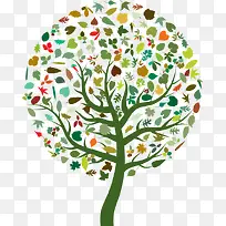 多彩树-空若网 多彩树-空若网