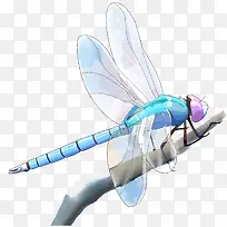 ���������������Ԫ��-������