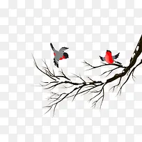 鸟和树枝-空若网 鸟和树枝-空若网