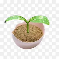 ���⼦����  ��Ҷ-������