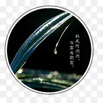 白露插画简约图标-空若网 白露插画简约图标-空若网