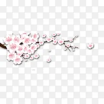 白色梅花-空若网 白色梅花-空若网