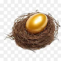 鸟巢-空若网 鸟巢-空若网