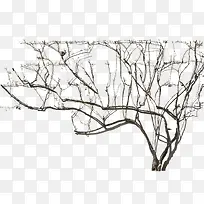 ��ľ��֦PNG�ز�06-������