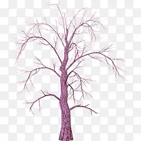 老树素材-空若网 老树素材-空若网