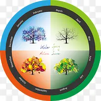 一年四季各色大树-空若网 一年四季各色大树-空若网